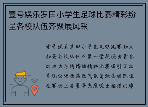 壹号娱乐罗田小学生足球比赛精彩纷呈各校队伍齐聚展风采